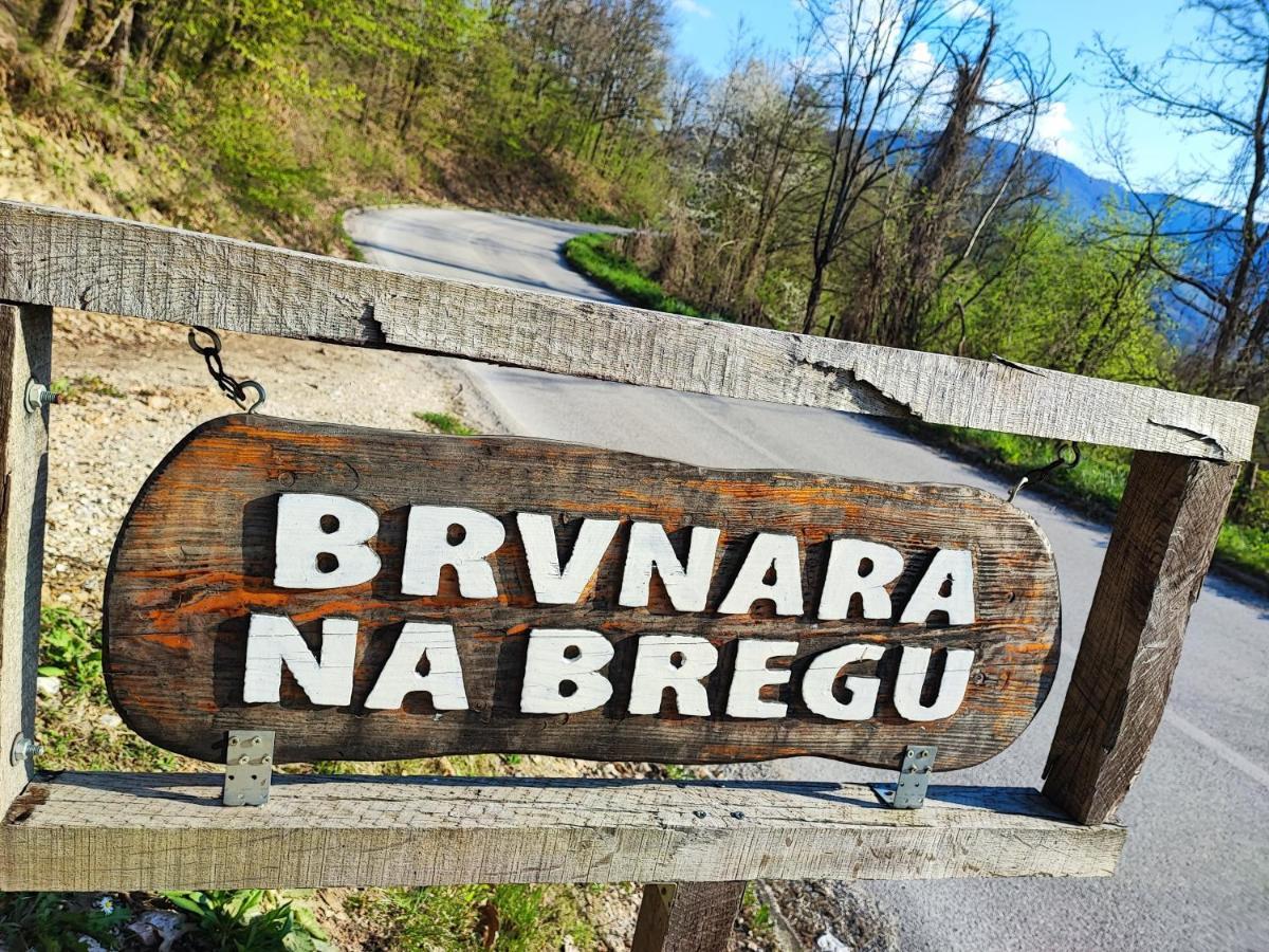 Brvnara Na Bregu Villa Bajina Basta Eksteriør bilde