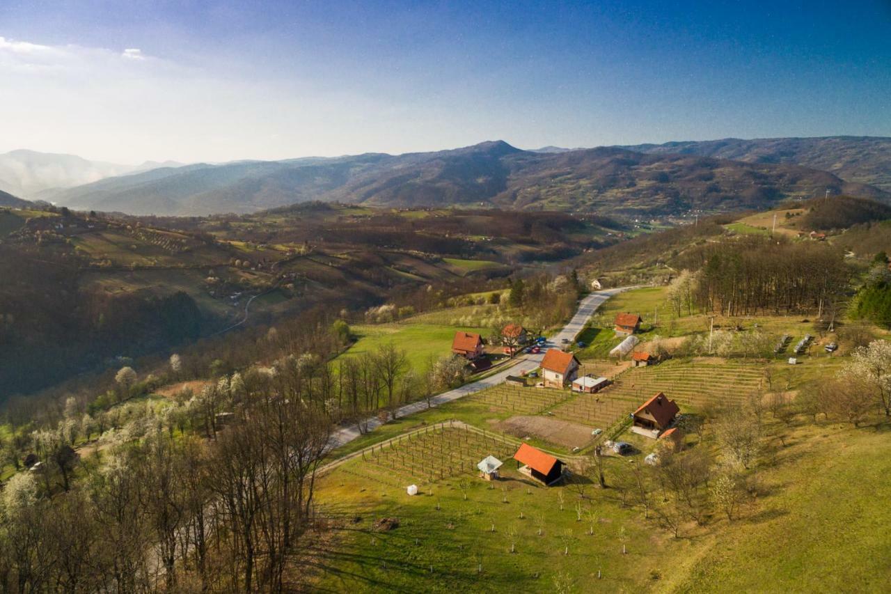 Brvnara Na Bregu Villa Bajina Basta Eksteriør bilde